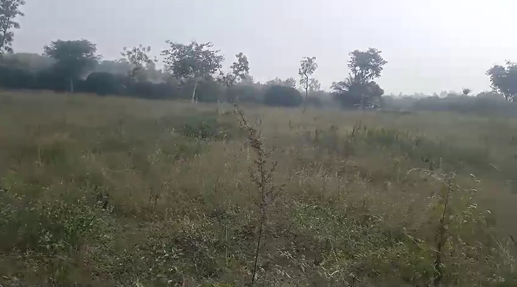  2 acre farm land for sale in Malavalli - Mandya district